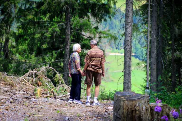 couple holding hands in the forest